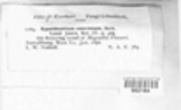 Image Associated With the Occurence